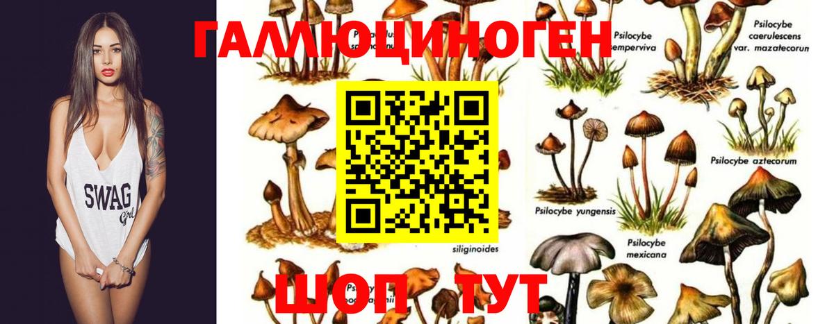 Галлюциногенные грибы ЛСД Фрязино