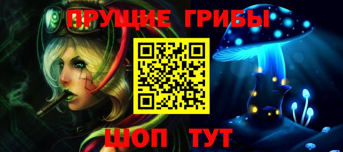 Псилоцибиновые грибы Psilocybe  Вход с VPN  Фрязино 